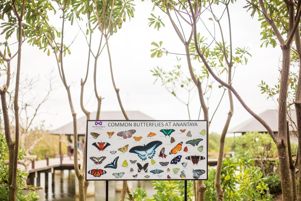 Anantaya & Resort